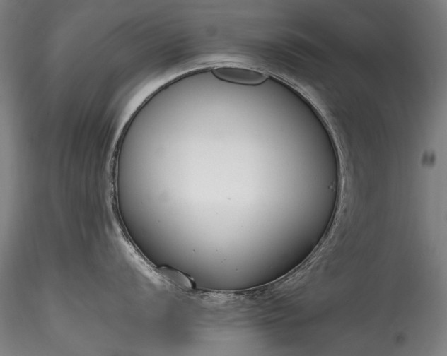 X0000115761056200911271112