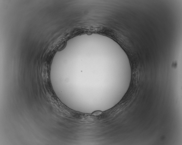 X0000115761058200911271112