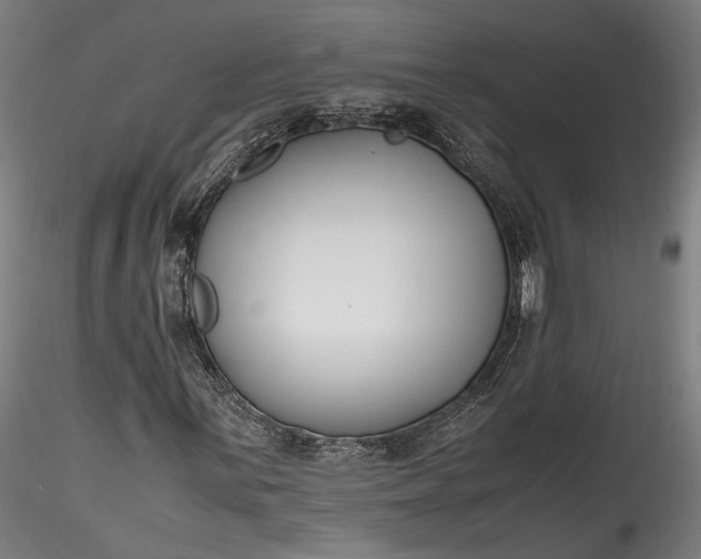 X0000115761059200911271112