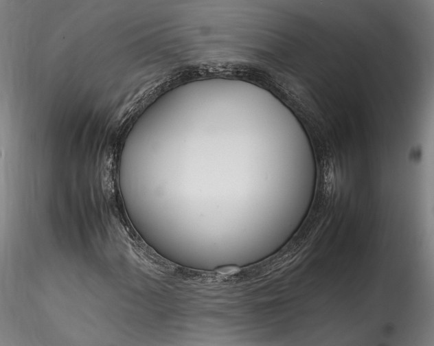 X0000115761060200911271112