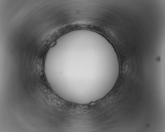 X0000115761062200911271112