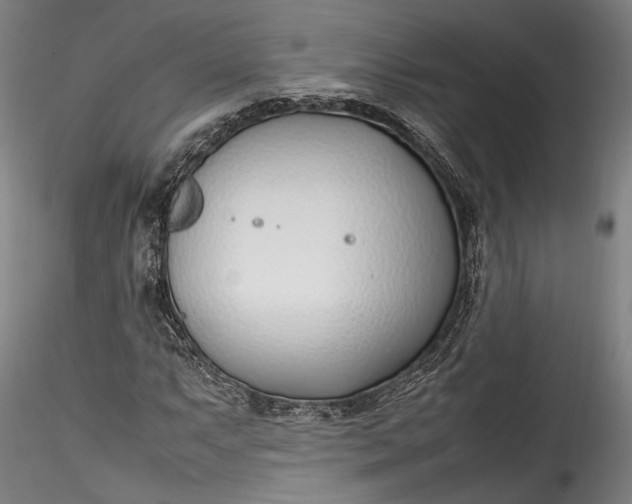 X0000115761063200911271112