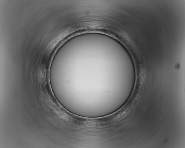 X0000115761065200911271112