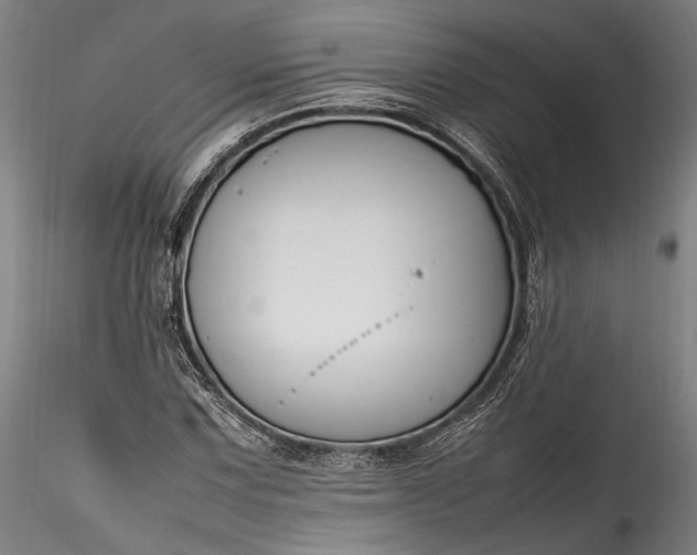 X0000115761067200911271112