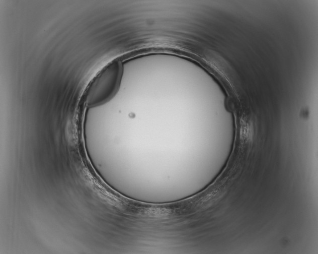 X0000115761068200911271112