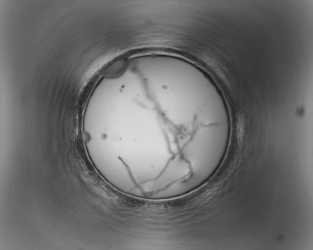 X0000115761069200911271112