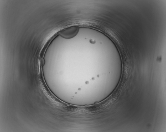 X0000115761079200911271111