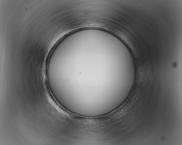 X0000115761084200911271111