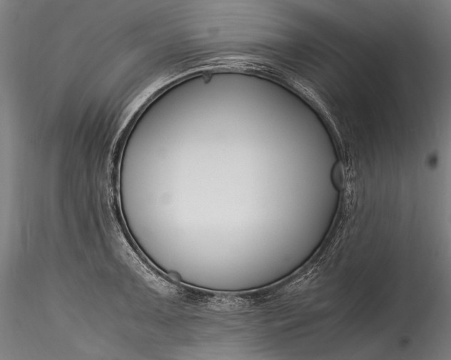 X0000115761091200911271111