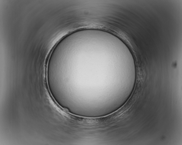 X0000115761095200911271111