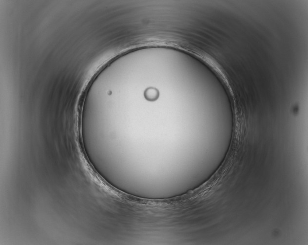 X0000115761096200911271111