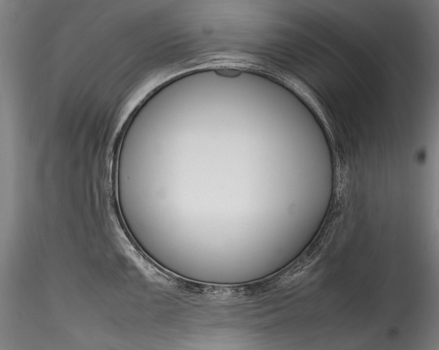 X0000115761099200911271111