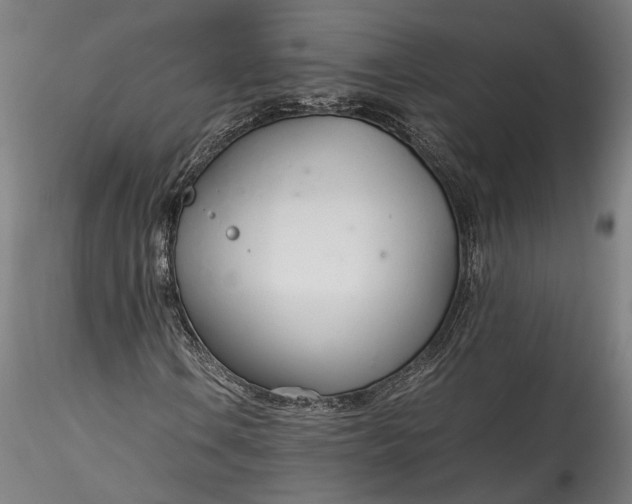 X0000115761106200911271110