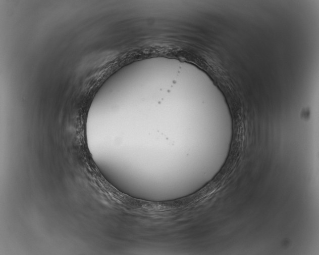 X0000115761109200911271110