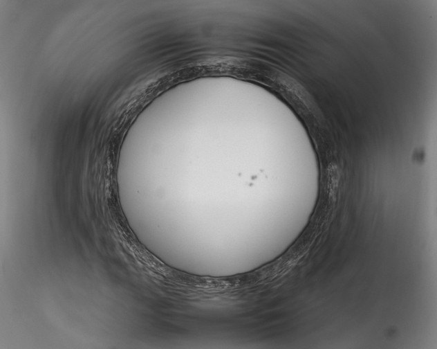 X0000115761111200911271110