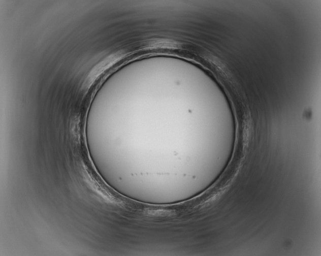 X0000115761113200911271110