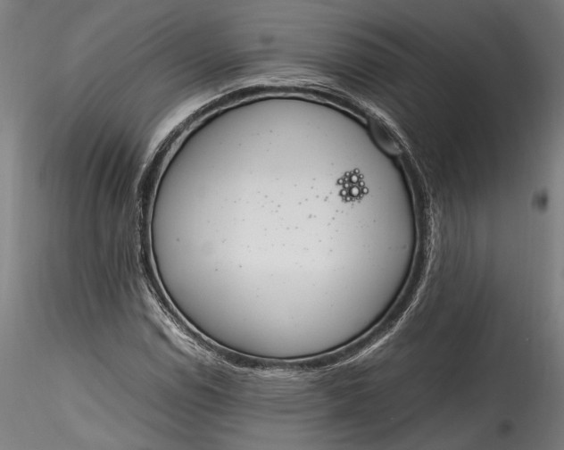 X0000115761114200911271110