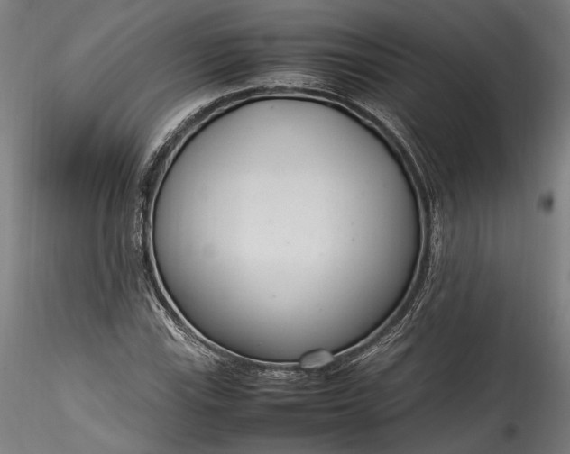X0000115761115200911271110