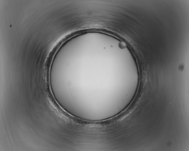 X0000115761118200911271110