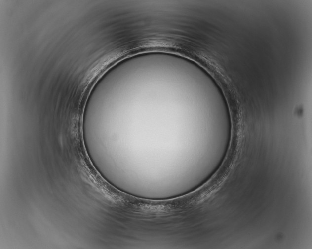 X0000115761121200911271110