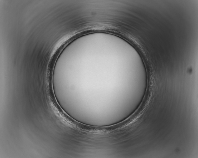 X0000115761122200911271110