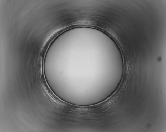 X0000115761123200911271110