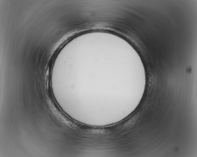 X0000115761126200911271111