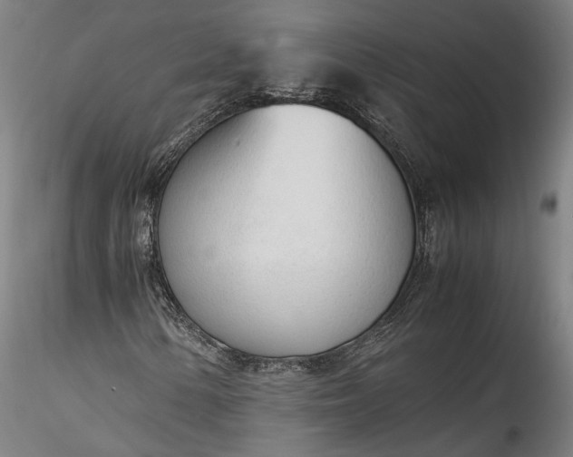 X0000115761154200911271110