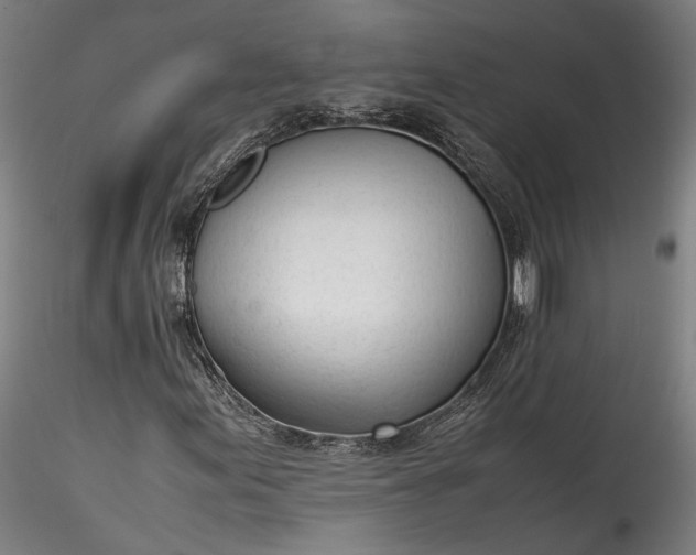 X0000115761155200911271110