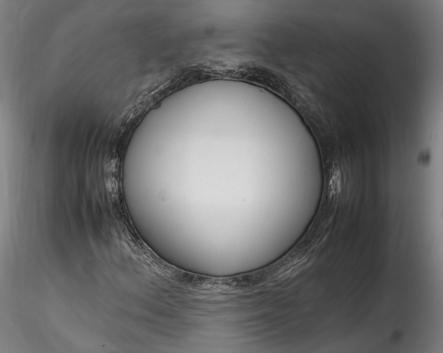 X0000115761156200911271110