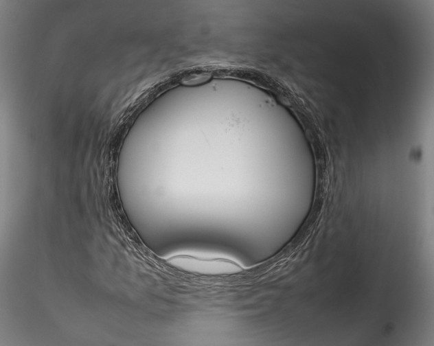 X0000115761157200911271110