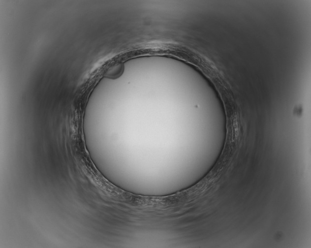 X0000115761158200911271110