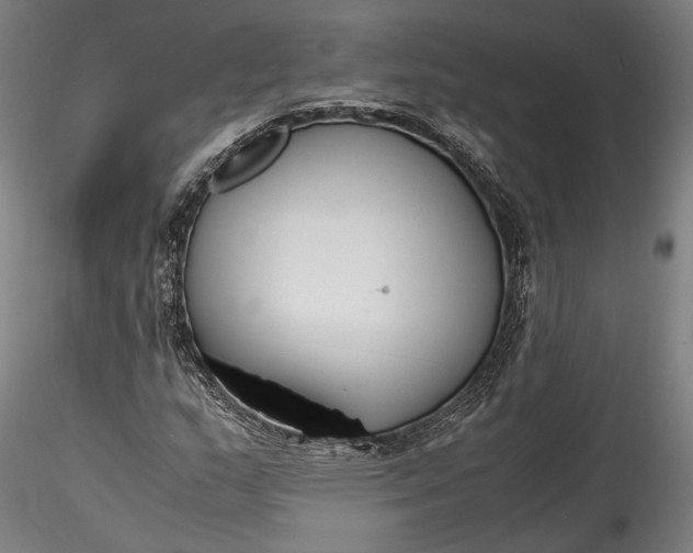 X0000115761159200911271110