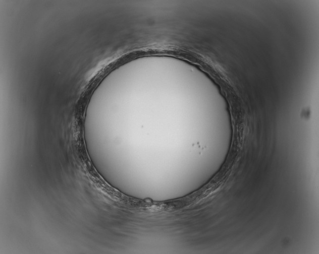 X0000115761160200911271110