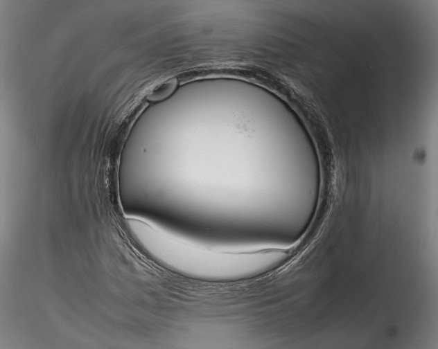 X0000115761161200911271110
