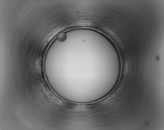 X0000115761162200911271110
