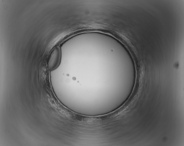 X0000115761163200911271110