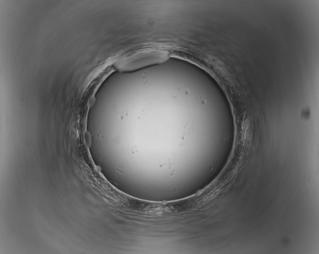 X0000115761165200911271110