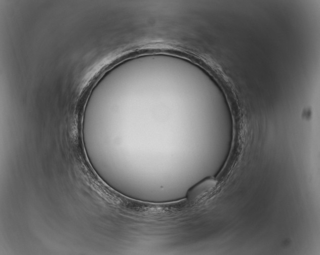X0000115761167200911271110