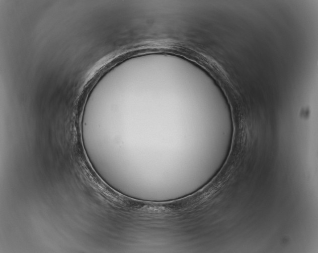 X0000115761168200911271110