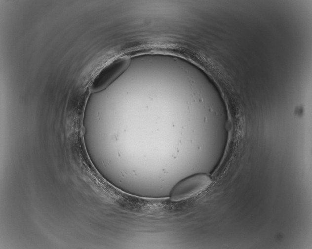 X0000115761169200911271110