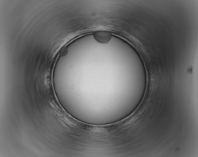 X0000115761170200911271110