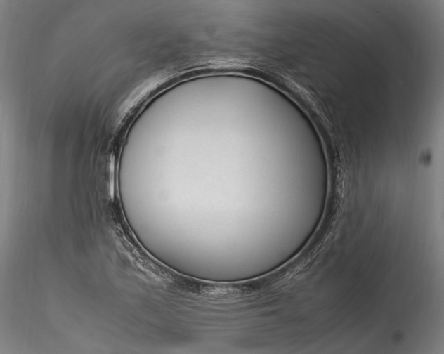 X0000115761171200911271110