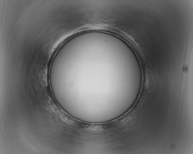 X0000115761174200911271110