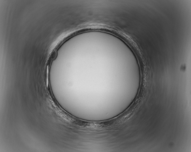X0000115761175200911271110