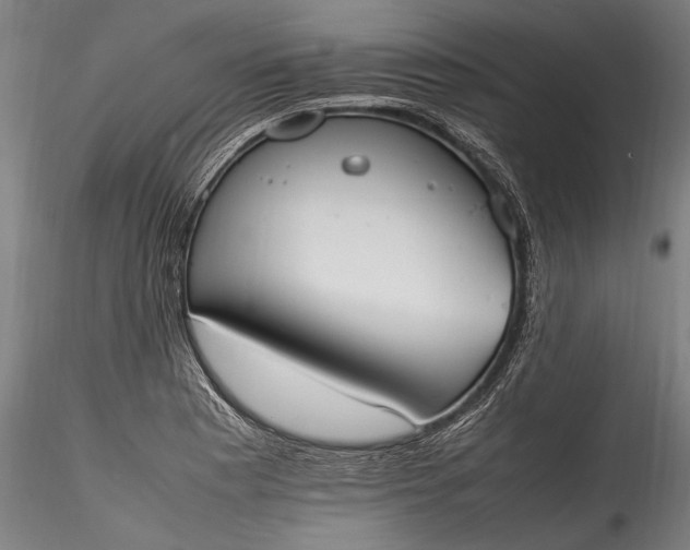 X0000115761177200911271110