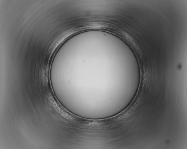 X0000115761178200911271110