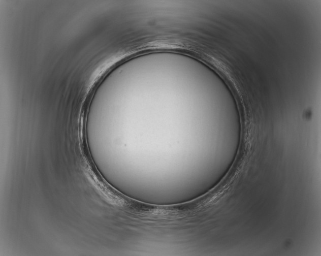 X0000115761179200911271110