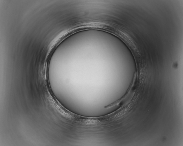 X0000115761180200911271110