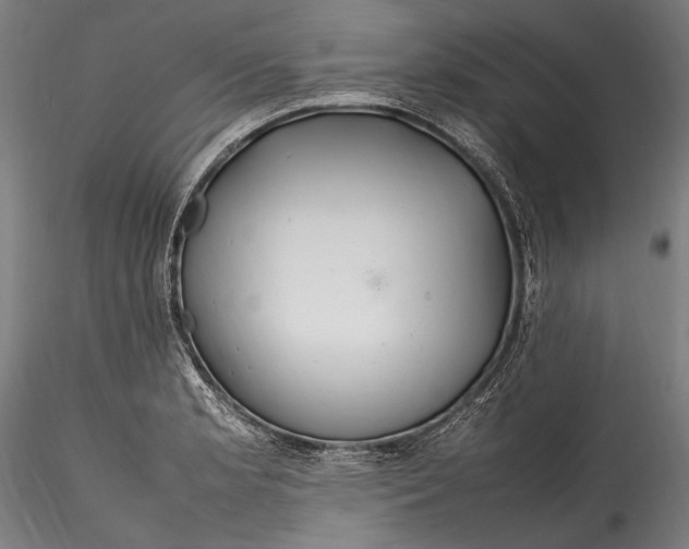 X0000115761181200911271110